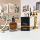 Men’s Luxury Perfume Set | Bleu de Chanel / Armani Stronger With You Intensely 100ml - amber