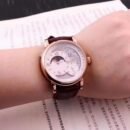 Fashion Minimalist Mechanical Watch for Men, Luminous Dial Water Resistant Business Wristwatch - Brown